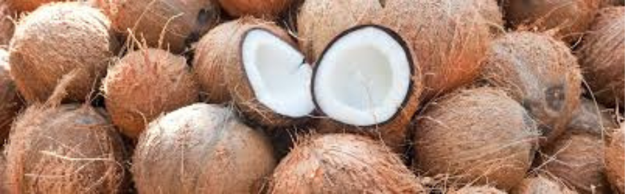 Coconut 